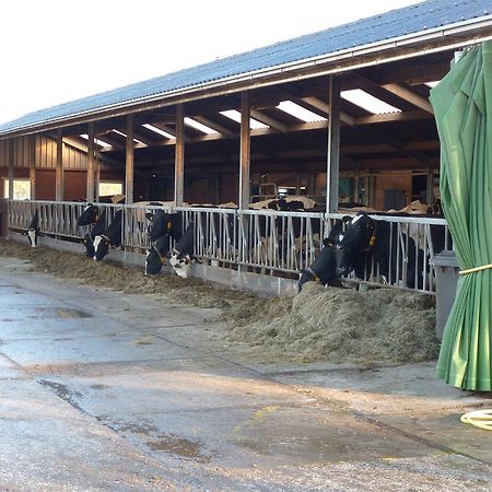 Boerderij "De Verwondering" Goudriaan Exteriér fotografie