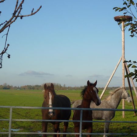 Boerderij "De Verwondering" Goudriaan Exteriér fotografie