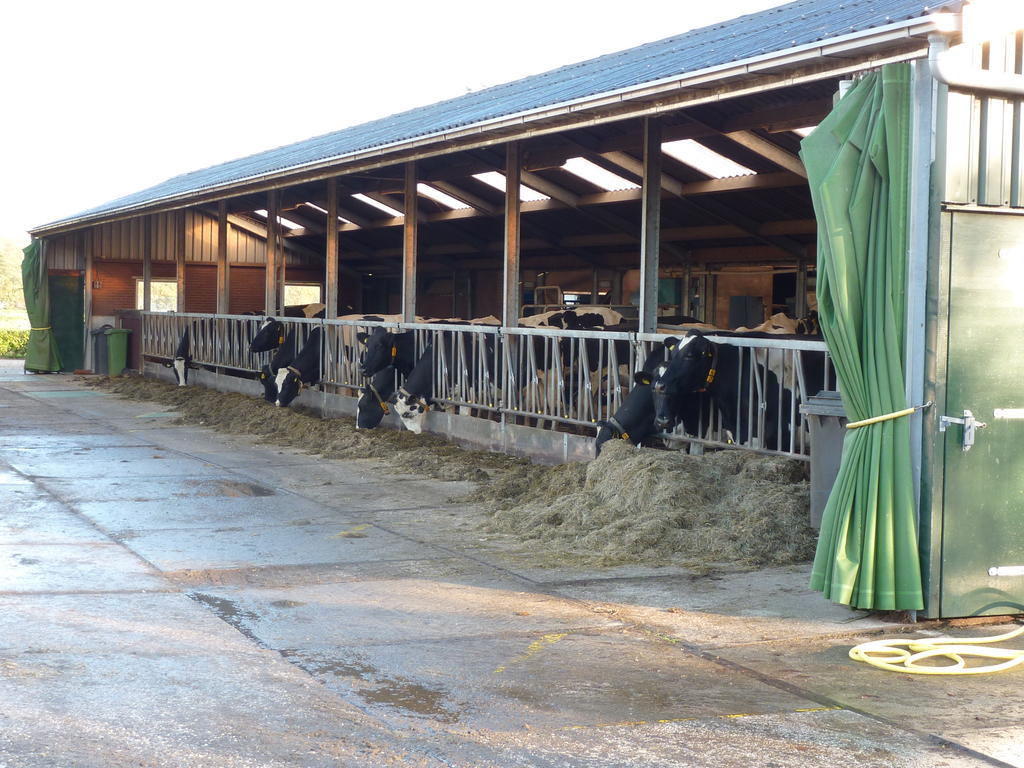 Boerderij "De Verwondering" Goudriaan Exteriér fotografie
