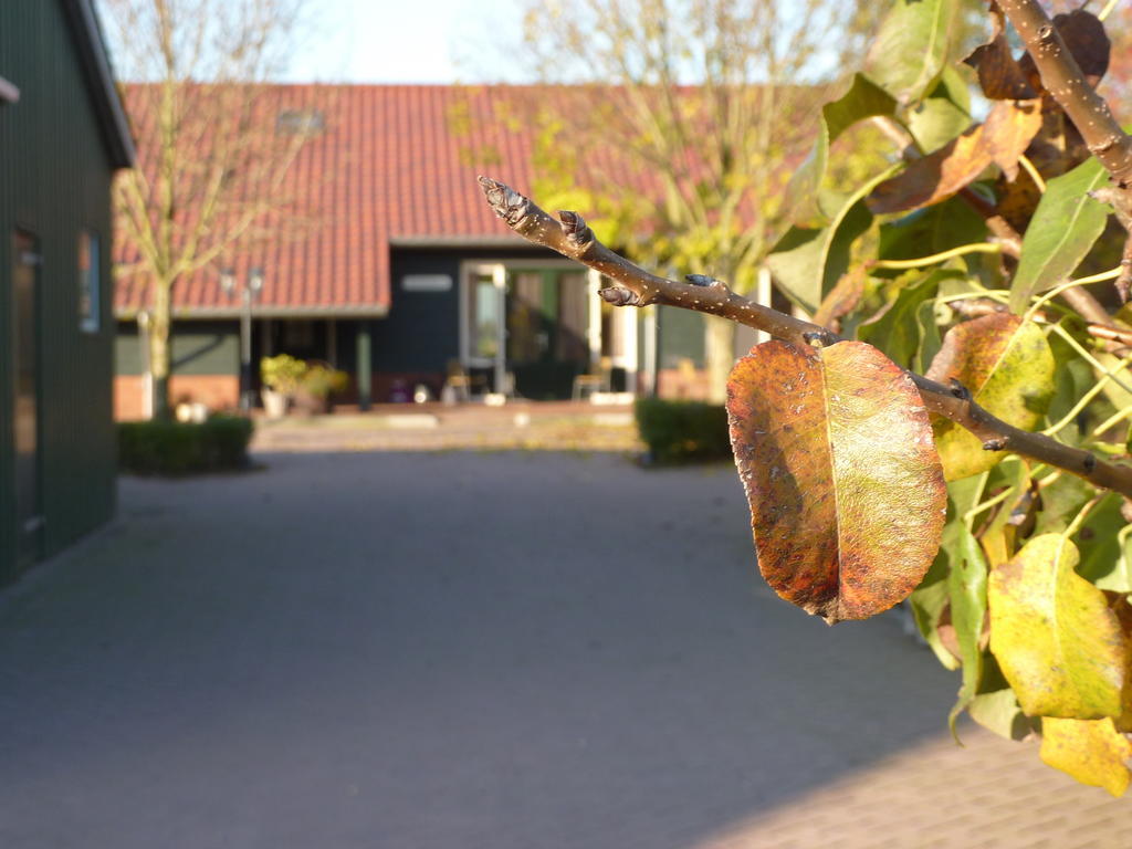 Boerderij "De Verwondering" Goudriaan Exteriér fotografie
