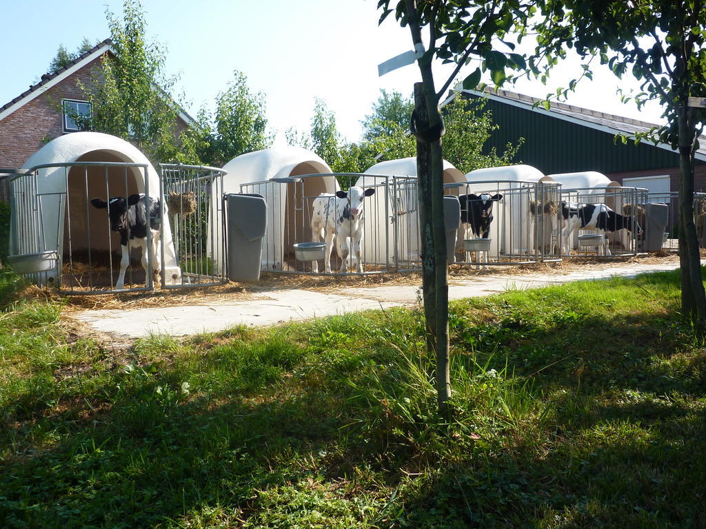 Boerderij "De Verwondering" Goudriaan Exteriér fotografie